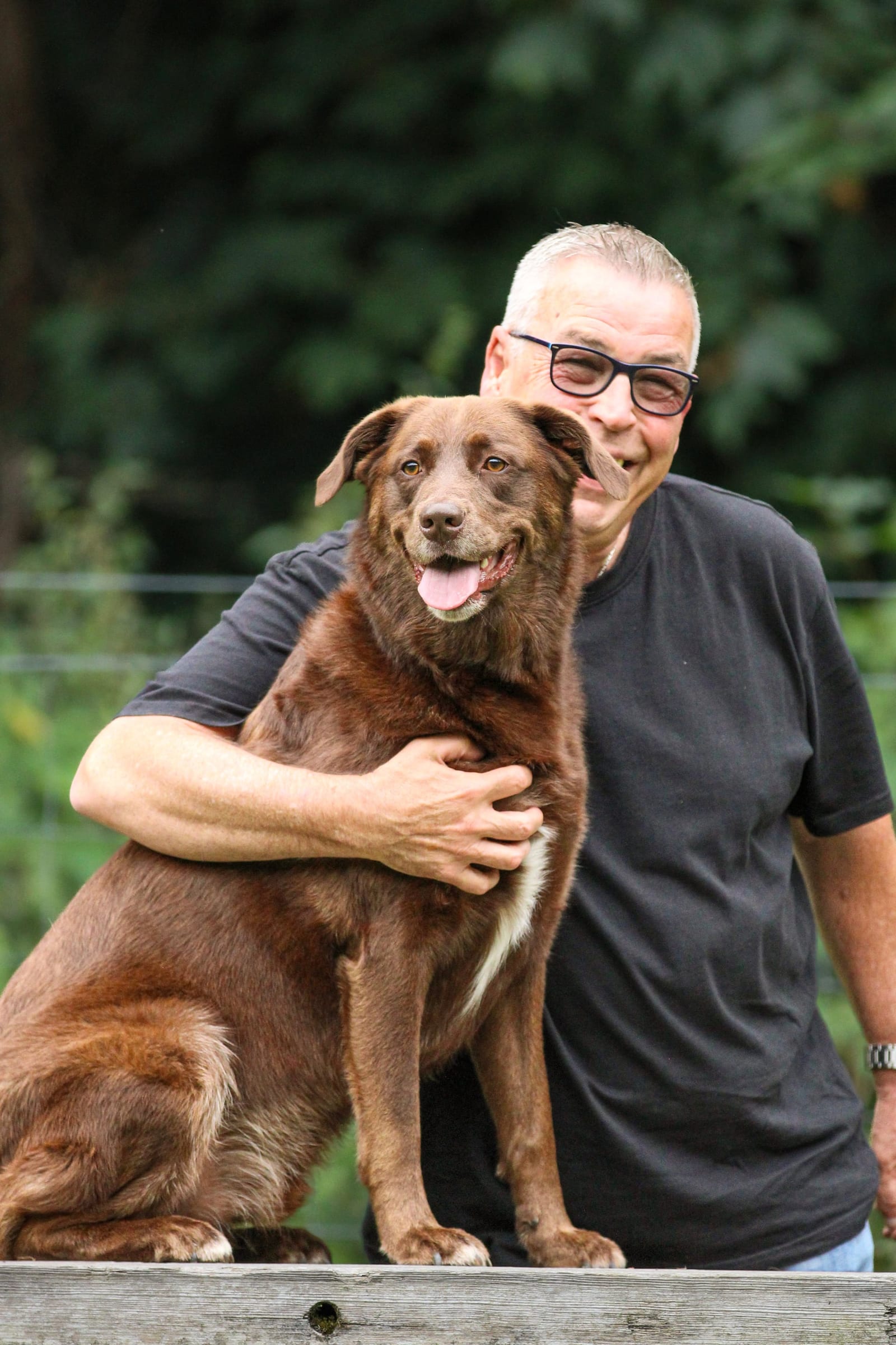 Brauner Hund sitzt auf einem Holzsteg, sein Besitzer umarmt ihn und lacht