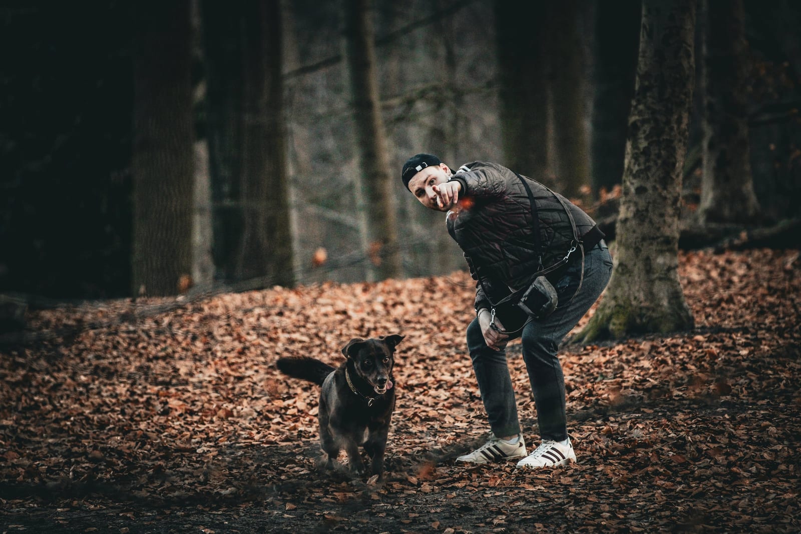 Hundebesitzer beugt sich im herbstlichen Wald zu seinem schwarzen Hund hinunter